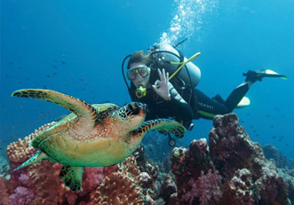 �������� � ����������