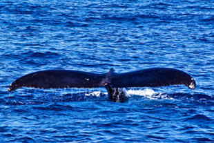 H��������� �� ������